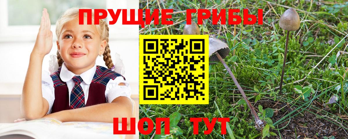 Галлюциногенные грибы мухоморы  Вход с VPN  сколько стоит  Тавда 